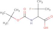 2-{[(tert-Butoxy)carbonyl]amino}-3-fluoro-3-methylbutanoic acid