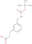 3-[3-({[(tert-butoxy)carbonyl]amino}methyl)phenyl]propanoic acid