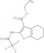 Ethyl 2-(trifluoroacetamido)-4,5,6,7-tetrahydro-1-benzothiophene-3-carboxylate