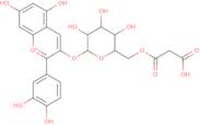 Cyanidin-3-(6??-malonylglucosid)