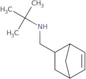 N-(2-Bicyclo[2.2.1]hept-5-enylmethyl)-2-methylpropan-2-amine