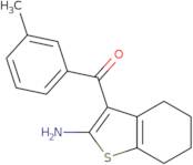 3-(3-Methylbenzoyl)-4,5,6,7-tetrahydro-1-benzothiophen-2-amine