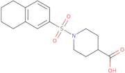 1-(5,6,7,8-Tetrahydronaphthalene-2-sulfonyl)piperidine-4-carboxylic acid