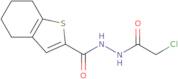 N'-(2-Chloroacetyl)-4,5,6,7-tetrahydro-1-benzothiophene-2-carbohydrazide