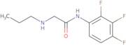 2-(Propylamino)-N-(2,3,4-trifluorophenyl)acetamide