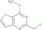 2-Chloromethyl-4-methoxy-thieno[3,2-d]pyrimidine