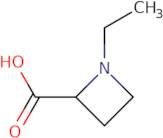 1-Ethylazetidine-2-carboxylic acid