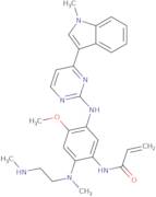 N-[4-Methoxy-5-[[4-(1-methylindol-3-yl)pyrimidin-2-yl]amino]-2-[methyl-[2-(methylamino)ethyl]amino…