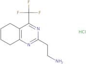 2-[4-(Trifluoromethyl)-5,6,7,8-tetrahydroquinazolin-2-yl]ethan-1-amine hydrochloride