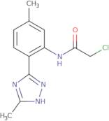 2-Chloro-N-[5-methyl-2-(5-methyl-4H-1,2,4-triazol-3-yl)phenyl]acetamide