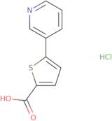 5-(Pyridin-3-yl)thiophene-2-carboxylic acid hydrochloride