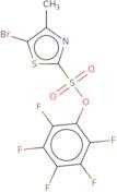 Pentafluorophenyl 5-bromo-4-methyl-1,3-thiazole-2-sulfonate