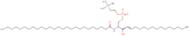 c26 Sphingomyelin (d18:1/26:0)