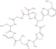 Zelkovamycin