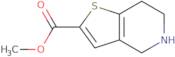 Methyl 4,5,6,7-tetrahydrothieno[3,2-c]pyridine-2-carboxylate hydrochloride