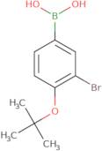 3-Bromo-4-t-butoxyphenylboronic acid