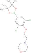 4-(2-Morpholinoethoxy)-3,5-dichlorophenylboronic acid, pinacol ester