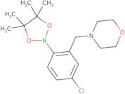 4-Chloro-2-(morpholinomethyl)phenylboronic acid, pinacol ester