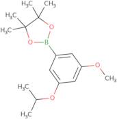 3-Isopropoxy-5-methoxyphenylboronic acid, pinacol ester