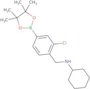 3-Chloro-4-(N-cyclohexylaminomethyl)phenylboronic acid, pinacol ester