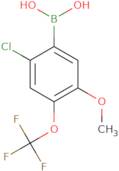 [2-Chloro-5-methoxy-4-(trifluoromethoxy)phenyl]boronic acid