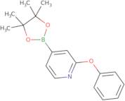 2-Phenoxy-4-(4,4,5,5-tetramethyl-1,3,2-dioxaborolan-2-yl)pyridine