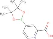 2-Carboxypyridine-4-boronic acid, pinacol ester