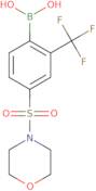 4-(Morpholinosulfonyl)-2-trifluoromethylphenylboronic acid