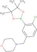 2-Chloro-5-(morpholinomethyl)phenylboronic acid, pinacol ester