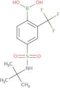 4-(N-tert-Butylsulfamoyl)-2-trifluoromethylphenylboronic acid