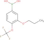 3-Propoxy-4-(trifluoromethoxy)phenylboronic acid