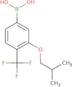 3-Isobutoxy-4-(trifluoromethyl)phenylboronic acid