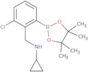 3-Chloro-2-(N-cyclopropylaminomethyl)phenylboronic acid, pinacol ester