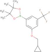 3-Cyclopropylmethoxy-5-trifluoromethylphenylboronic acid, pinacol ester