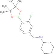 2-Chloro-4-(N-cyclohexylaminomethyl)phenylboronic acid, pinacol ester