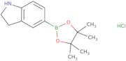 Indoline-5-boronic acid, pinacol ester hydrochloride