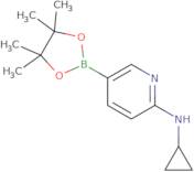 N-Cyclopropyl-5-(tetramethyl-1,3,2-dioxaborolan-2-yl)pyridin-2-amine