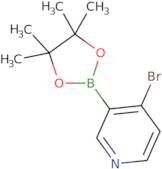 4-Bromopyridine-3-boronic acid pinacol ester