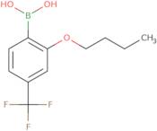 2-Butoxy-4-(trifluoromethyl)phenylboronic acid