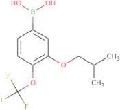 3-Isobutoxy-4-(trifluoromethoxy)phenylboronic acid