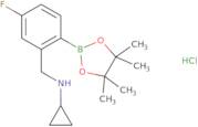 4-Fluoro-2-(N-cyclopropylaminomethyl)phenylboronic acid pinacol ester hydrochloride