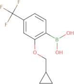 2-(Cyclopropylmethoxy)-4-trifluoromethylphenylboronic acid