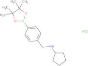 4-(N-Cyclopentylaminomethyl)phenylboronic acid pinacol ester hydrochlorde