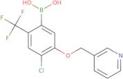 [4-Chloro-5-(pyridin-3-ylmethoxy)-2-(trifluoromethyl)phenyl]boronic acid