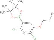 5-(2-Bromoethoxy)-2,4-dichlorophenylboronic acid, pinacol ester