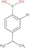 2-Bromo-4-isopropylphenylboronic acid