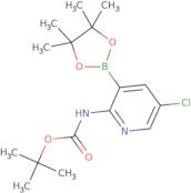 Boc-2-amino-5-chloropyridine-3-boronic acid pinacol ester