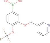 [3-(Pyridin-3-ylmethoxy)-4-(trifluoromethoxy)phenyl]boronic acid