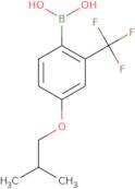 4-Isobutoxy-2-(trifluoromethyl)phenylboronic acid