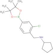 3-Chloro-4-(cyclopentylaminomethyl)phenylboronic acid, pinacol ester